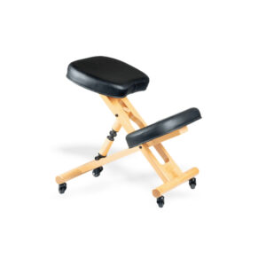 Adjustable Therapist Stool