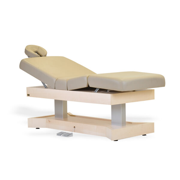 ISA Electric Spa Massage Table