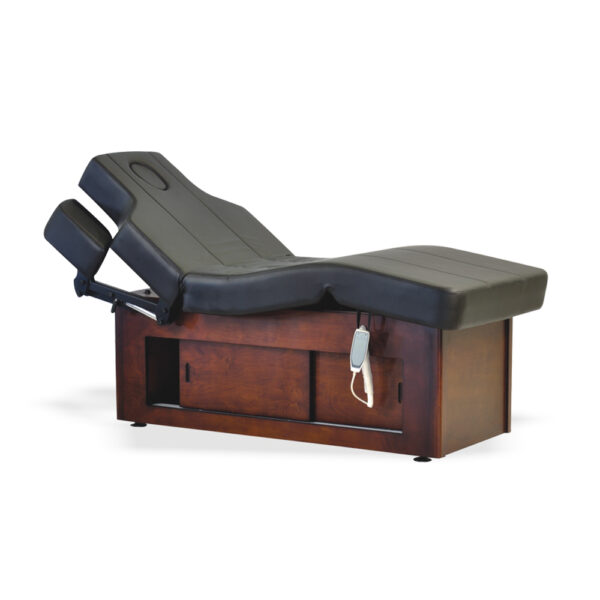 Raman Electric Spa Massage Table