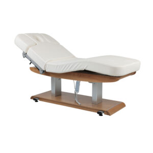 Tejas Electric Spa Massage Table