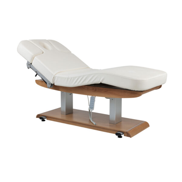 Tejas Electric Spa Massage Table